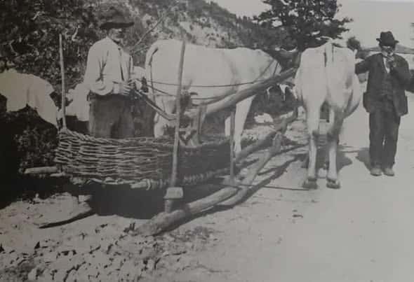 old treggia