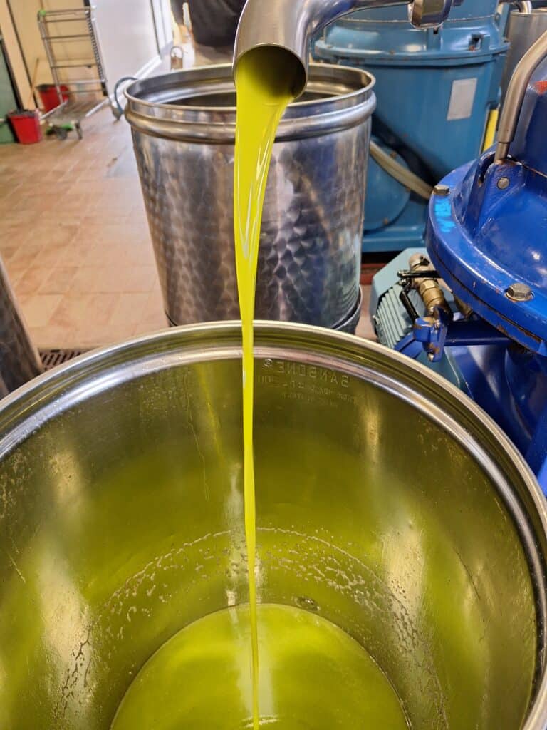 pouring olive oil new olive oil